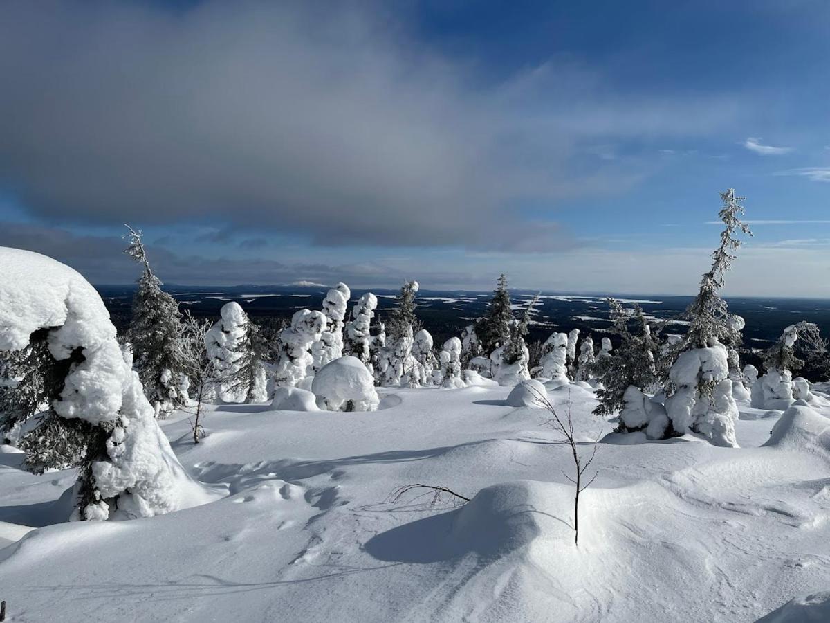 Apt 37 Rovaniemi Eksteriør billede