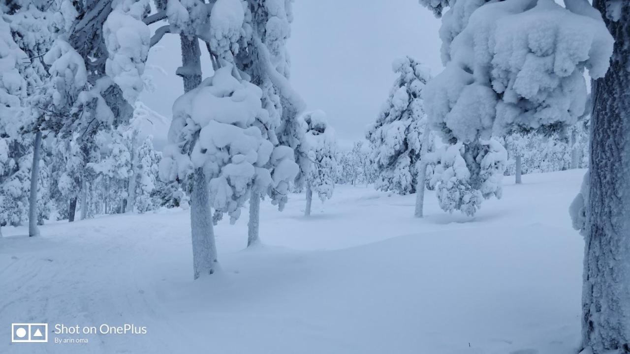 Apt 37 Rovaniemi Eksteriør billede
